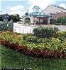 Holiday Inn Express Hotel & Suites Corinth, Corinth