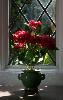 The Chapel, Grand Holiday Ballroom, Olympia