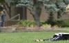Capital University, Columbus