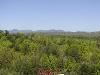 Entire Facility, Cavender Castle, Dahlonega — From the top of the tower you can see for miles and miles!