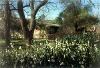 Gardens Conference Room, Botanic Gardens at University of California, Riverside