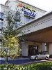 Holiday Inn Express Hotel & Suites-Tampa-Anderson Road/Veterans Exp