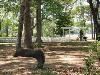 Wedding Area, Southerly Bed And Breakfast, Hollywood