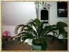 Lighthouse Inn, Rehoboth Beach