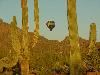 Fleur de Tucson Balloon Tours, Tucson
