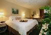 GUEST ROOM, Hampton Inn Daytona Beach Speedway, Daytona Beach