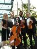 Alafia Quartet, Brandon