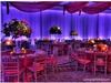 Sandy Rule Events, Tampa