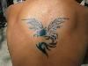 Click to see Profile