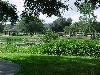 Gazebo with Botanical Gardens, Venetian Gardens, Leesburg — This is of the bridge and pavillion on the Lake side.