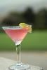 Dale Hameister Photography, Hemet — Would you like a cocktail?