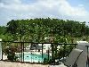 The Wilson Private Garden, The Wilson Private Garden, Kissimmee — View from Balcony overlooks the whole garden.