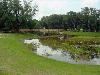 Picnic Shelter, Berry Park, Leesburg