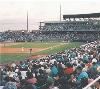 Hampton Inn & Suites New Orleans-Elmwood, New Orleans — Celebrating its 10th anniversary in 2007, Zephyr Field has become the focal point for family entertainment in the Greater New Orleans area. Over four million fans have attended a variety of events at the stadium since it first opened April 11, 1997. Zephyr Field features 10,000 chair-backed seats, plus seating for nearly 1,000 on the Levee in center field.