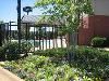 Hampton Inn Tuscaloosa - I-59/20, Cottondale — Exterior Pool