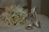 PhotographyByZenaida.com, Hialeah