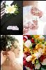Images By Jesse, Honolulu — Wedding Photograhy at its best ...