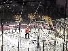 Hara Arena, Hara Arena, Conference & Exhibition Center, Dayton — Garden Bros. Circus