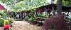 Gardens Area, Hotel Charlotte, Groveland