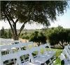 Lower Lawn, Thornton Winery, Temecula — This lush and landscaped location creates a perfect setting for your wedding ceremony. Surrounded by Weeping Willow trees, waterfall and pond, this site offers the perfect backdrop as your vows are exchanged, your nuptials proclaimed, and as your guests witness your very first kiss as husband and wife. Thornton Winery's Lower Lawn will create a graceful entrance into your future together. Accommodates up to 300 people.