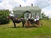 Catering Unlimited, Enfield — Couple arriving at their 50th Wedding Anniversary Party