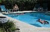 Mansion House Bed and Breakfast, Saint Petersburg — Full-size heated pool and jacuzzi