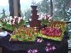 The Francis Crocker Room, Palm Springs Aerial Tram, Palm Springs — Bavarian Chocolate Fountain with housemade chocolate chip cookies, seasonal berries and marshmallows. Served for 200 in Francis Crocker Room. Note our majestic mountain view in the background!