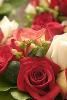 Elegant Affair Event Planning