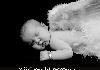 McDaniel Photography, Evansville