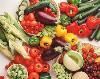 Oasis Gourmet Events, New York