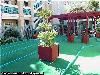 Staybridge Suites - Sunnyvale, Sunnyvale