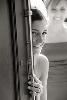 Picture4ever Studio Photographer, Elk Grove Village