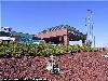 Holiday Inn Hotels & Suites Price, Price