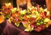 Olivier Events, Inc., Tampa