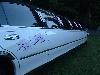 Emerald Limousine Service, Dayton — Specializing in wedding packages
www.daytonlimo.com