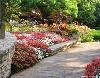 Fuller Garden, Fort Worth Botanic Garden, Fort Worth