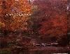 Japanese Garden, Fort Worth Botanic Garden, Fort Worth