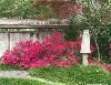 Japanese Garden, Fort Worth Botanic Garden, Fort Worth