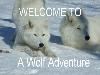 A Wolf Adventure A Wild Encounter, Macdowall — Come and Visit Dharma, and friends on one wild adventure!