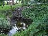 Dubuque Arboretum and Botanical Garden @ Marshall Park, Dubuque — Small pond.