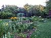 Dubuque Arboretum and Botanical Garden @ Marshall Park, Dubuque — Flower Garden at sunset.