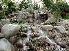 Dubuque Arboretum and Botanical Garden @ Marshall Park, Dubuque — The new waterfall located in the Japanese Garden.