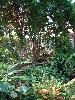 Conservatory, R. S. Barnwell Memorial Garden and Art Center, Shreveport