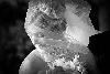 Studio Four Photography, Terra Ceia