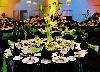 A La Carte Event Pavilion, Tampa — The Grand Ballroom