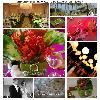 Ocean Flowers & Event Decor, Miami Beach