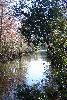 Holiday Inn Express Hotel & Suites - Tavares, Tavares — On the Scenic Dead River