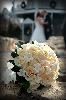 Signature Photography, LLC, Winsted