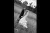 Captured Emotions Photography Inc., Fort Lauderdale — Wedding photography
