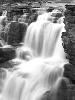 Drew May Photography, Whitecourt